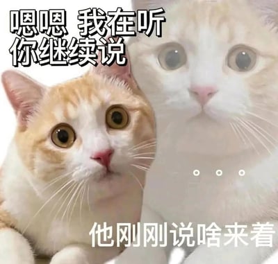 图片中展示了两只猫的特写，左侧是一只橘白相间的猫，瞪大眼睛，表情专注；右侧是一只白猫，眼神迷茫。图片上方配有文字“嗯嗯 我在听 你继续说”，下方配有文字“他刚刚说啥来着”，通过两只猫的表情对比和文字内容，形成了一种幽默效果，用来调侃那些表面上在认真倾听，实际上已经走神忘记对方说什么的情况。