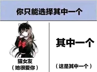 这是一张左右对比的图文混排整蛊梗图，顶部蓝色栏的文字为“你只能选择其中一个”，将画面划分为左右两个选项区域。左侧区域是一位有着黑色长发、佩戴猫耳的二次元卡通女孩，她单手放在下巴处，神情略带娇羞，下方配有文字“猫女友（她很爱你）”；右侧区域则是醒目的黑色大字“其中一个”，下方还有小字标注“（这是其中一个）”。这张图利用文字逻辑制造了有趣的悖论：看似是两个选择，但第二个选项本身就是“其中一个”，无论选择哪一个都符合“选择其中一个”的要求，从而产生搞笑的整蛊效果。