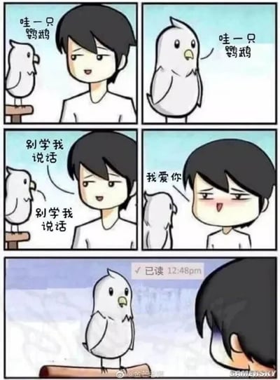 这是一则由五格画面组成的连环静态漫画，讲述了男生与鹦鹉的互动：第一格男生看到鹦鹉开心地说“哇一只鹦鹉”；第二格鹦鹉学舌重复男生的话；第三格男生无奈地让鹦鹉“别学我说话”，鹦鹉依旧模仿；第四格男生脸红害羞地对鹦鹉说“我爱你”，鹦鹉背过身去；第五格鹦鹉的位置出现了社交软件消息的「已读 12:48pm」标识，男生一脸失落。漫画将鹦鹉学舌的日常设定与社交软件中“已读不回”的常见场景结合，制造出搞笑又扎心的效果，调侃了当代人在社交沟通中遇到已读不回时的失落情绪。