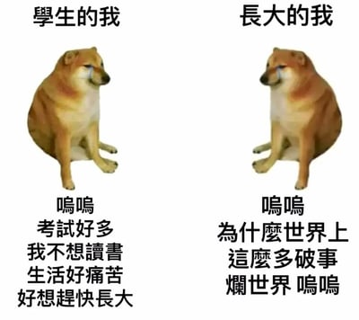 这是一张左右分栏对比的图文表情包，整体采用神烦狗（Doge）的流泪委屈形象，分别对应“学生的我”和“长大的我”两种人生阶段。左侧的“学生的我”以哭泣的口吻抱怨考试太多、不想读书，觉得学生生活痛苦，迫切希望快点长大；右侧的“长大的我”同样哭泣着吐槽世界上烦心事太多，对现实生活充满失望。两张图里的柴犬都保持着眼角挂泪、委屈难过的神态，用相同的情绪状态，展现了不同人生阶段都会面临专属烦恼的共鸣感，精准戳中人们在成长过程中，从期待摆脱学生身份到被成年生活消磨热情的心境变化。