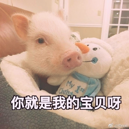 小白猪抱着雪人玩偶：你就是我的宝贝呀