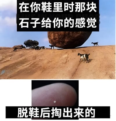 这是一张上下对比的幽默梗图。上图展示了一块巨大的圆形岩石悬在山坡上，周围有几只山羊在活动，配文“在你鞋里时那块石子给你的感觉”，用巨石夸张地表现石子在鞋中带来的强烈不适感；下图是手指上捏着一颗极小石子的特写，配文“脱鞋后掏出来的”，揭示实际石子的微小 size。通过这种强烈的大小对比，幽默地展现了人们对鞋中石子不适感的夸张心理感受与现实的反差。