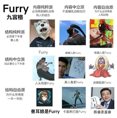 这是一张关于Furry文化分类的九宫格图文混排图，将Furry爱好者分为不同派别并配以示例图。横向从左到右为内容纯粹派（必须是哺乳动物和人的组合，配狼头人照片）、内容中立派（非哺乳动物也行，配蜥蜴人形象）、内容自由派（为什么必须是人和动物，配电锯人插画）；纵向从上到下为结构纯粹派（下半身像人类）、结构中立派（没必要分上下半身，配人头狗、美人鱼、迷唇姐图）、结构自由派（为什么非得一半一半，配兽耳娘、假面骑士、陈睿手持物品图）。整体以幽默调侃的方式展现了Furry文化中对角色定义的不同理解。