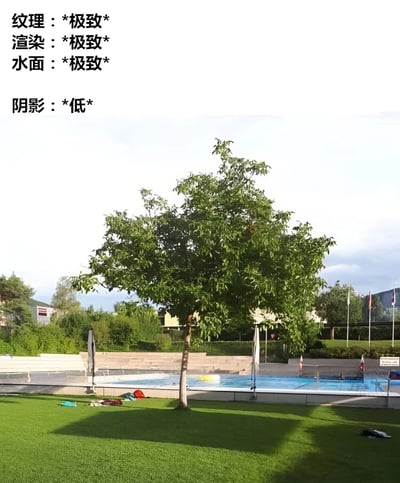 图片左侧有四行黑色文字，内容为“纹理：*极致* 渲染：*极致* 水面：*极致* 阴影：*低*”，右侧是一张户外风景照。画面中央是一棵枝叶茂盛的绿色树木，树下是修剪整齐的绿色草坪，草坪上散落着几件衣物。树木后方是一个蓝色的游泳池，池边有救生员座椅和栏杆，远处可见一些低矮的建筑物、旗帜和其他绿植，天空为淡蓝色并带有少量云彩。整体场景明亮，给人一种宁静的夏日户外感觉。