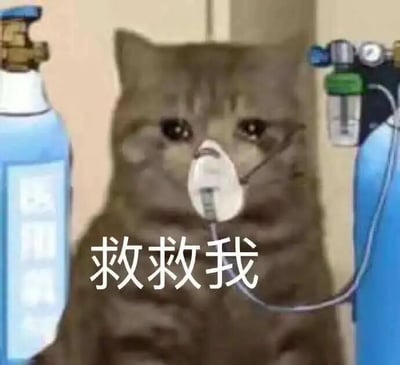 图片中央是一只戴着白色氧气面罩的灰色猫咪，双眼圆睁，眼神中透露出悲伤与无助。猫咪两侧各有一个蓝色的氧气瓶，左侧氧气瓶上有部分白色标签，右侧氧气瓶连接着绿色调节阀和透明湿化瓶。猫咪下方有白色文字“救救我”，整体构图聚焦于猫咪的面部表情和求生状态。这张图通过拟人化的手法，将猫咪置于需要吸氧急救的场景中，搭配直白的求救文字，形成一种反差萌的幽默效果，常被网友用来夸张地表达自己陷入困境、急需帮助的心情。