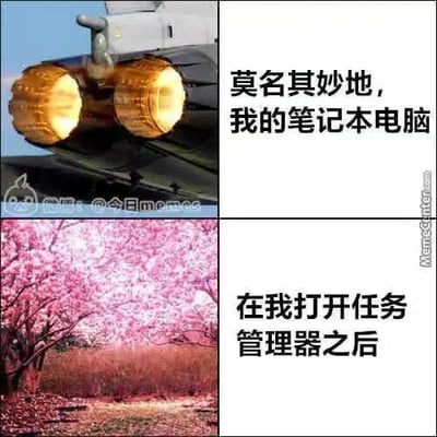 这是一张上下拼接的对比梗图，上方是正在运行、发出强光的飞机引擎，配文“莫名其妙地，我的笔记本电脑”，用来比喻笔记本电脑在没有进行大量操作时，却像飞机引擎一样处于高负载运行状态，出现发热、卡顿的情况；下方是一片静谧的樱花树林，配文“在我打开任务管理器之后”，用来比喻打开任务管理器结束后台占用资源的进程后，电脑恢复流畅、安静的状态。图中用夸张的场景反差，调侃了笔记本电脑后台进程偷偷占用资源导致运行卡顿的常见问题，十分贴合用户使用电脑的真实体验，充满趣味性。