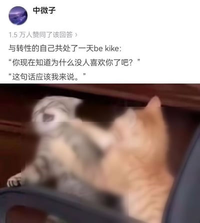 这是一张图文混排的社交媒体搞笑梗图，上方是用户“中微子”发布的获1.5万赞同的内容，内容为脑洞假设：和转性后的自己共处一天时，双方都向对方吐槽“你现在知道为什么没人喜欢你了吧”，凸显出不管是哪种性别的自己，性格都存在不讨喜的缺点，属于自嘲式玩梗；下方搭配了两只猫咪互相扇巴掌的模糊表情包，形象对应了两个自己互相嫌弃、互相吐槽的状态，笑点精准戳中网友对自身性格缺点的调侃心态。
