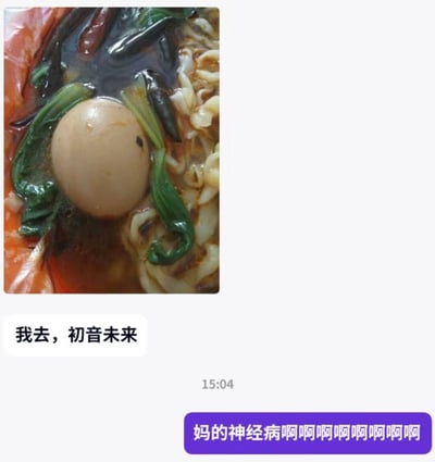 这是一张社交聊天记录截图，上方展示了一碗带红汤的面食，汤中的卤蛋搭配两侧泡发的青菜，在视觉上形成了和虚拟歌手初音未来高度相似的脸部造型；下方是两条聊天消息，第一条消息为「我去，初音未来」，表达了发现这个巧合时的惊讶与新奇感，第二条消息为一连串的吐槽式感叹「妈的神经病啊啊啊啊啊啊啊啊啊」，传递出被这个脑洞逗乐或是觉得离谱的情绪。
这是典型的视觉错位巧合，通过食物的自然摆放形成了知名虚拟角色的造型，没有谐音或双关梗，仅为造型上的撞脸。