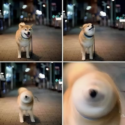 这是一张四格拼接的夜晚街头照片，主角是一只柴犬。第一格中柴犬正面朝向镜头，嘴巴微张，舌头露出，表情开心；第二格它抬头向上看，嘴巴张开，似乎在张望什么；第三格柴犬身体略微侧转，画面稍有动态模糊；第四格是近距离特写，柴犬的鼻子和脸部占据大部分画面，显得十分亲近。背景是夜晚的街道，有模糊的路灯和店铺灯光，地面为砖铺路面，整体氛围温馨治愈。