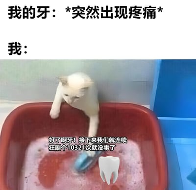 图片上半部分为文字“我的牙：*突然出现疼痛* 我：”，下半部分是一只白猫站在红色水盆边缘，前爪拿着刷子在充满泡沫的水中刷洗，图片中间叠加文字“好了啊牙！接下来我们就连续狂刷个10321次就没事了”，并配有一个牙齿图标。整体通过夸张的“狂刷10321次”来幽默表现人们面对突发牙痛时的过度反应，充满生活气息和喜剧效果。
