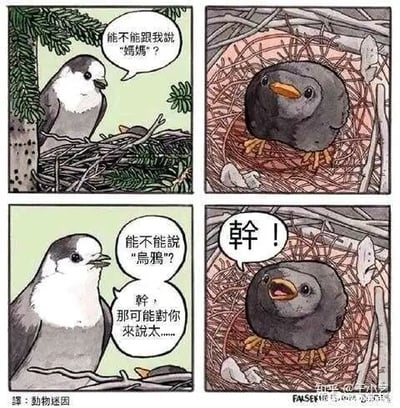 这是一则四格连环卡通漫画，讲述了一只白鸟试图教巢里的小黑乌鸦说话的趣事。第一格，白鸟站在巢边，请求小黑乌鸦叫自己“妈妈”；第二格展示了小黑乌鸦自己的鸟巢；第三格，白鸟又提议让小黑乌鸦说“乌鸦”，随即自己吐槽了一句“幹，那可能对你来说太……”，话还没说完；第四格，小黑乌鸦就大喊出了“幹！”，完美接住了白鸟的吐槽词，利用口误制造出了搞笑的喜剧效果。