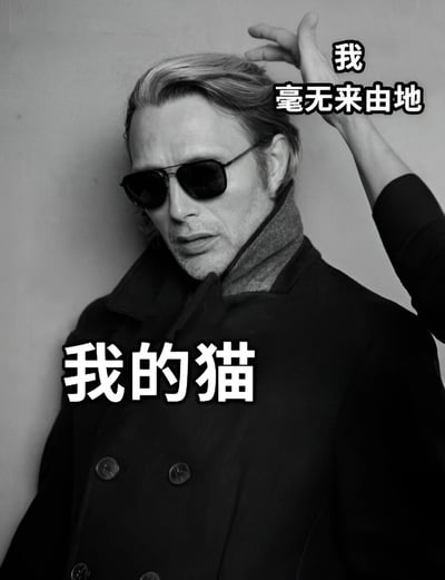 一张黑白照片，照片中是一位戴着墨镜、穿着黑色大衣的男子，他靠在墙边，表情酷拽。一只手从右侧伸出正在调整他的头发。图片上有两行白色文字，上方是“我毫无来由地”，下方是“我的猫”，通过将猫的行为拟人化，制造出一种幽默的反差效果。