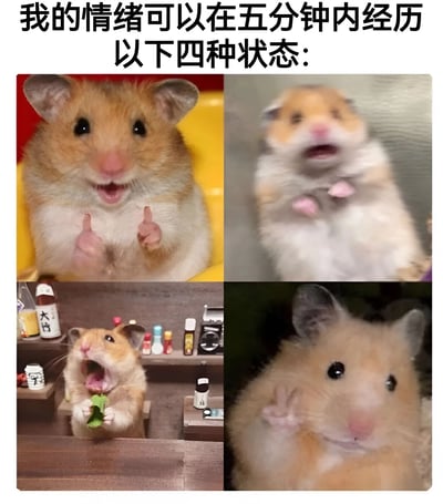 图片为四格拼接的图文混排内容，顶部文字为“我的情绪可以在五分钟内经历以下四种状态：”。第一格是黄色背景下的仓鼠，竖起前爪，表情兴奋；第二格仓鼠张嘴尖叫，显得惊讶；第三格仓鼠在摆满小物件的架子前啃食菜叶，表情满足；第四格仓鼠挥手，表情平静。通过不同状态的仓鼠形象幽默展现情绪在短时间内的快速变化。
