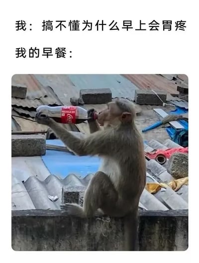 这是一张搞笑自嘲梗图，采用文上图下的排版，上方文字先以第一人称表述“我：搞不懂为什么早上会胃疼”，接着引出“我的早餐：”，下方配图是一只猕猴坐在老旧的瓦片屋顶边缘，双手举着一大瓶可口可乐正在仰头饮用，用这种反差感调侃第一人称视角的人早上喝碳酸饮料当早餐，不健康的饮食习惯才是导致胃疼的原因，充满自嘲的幽默感。
