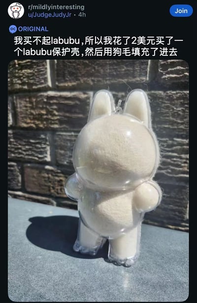 这是一张Reddit社区r/mildlyinteresting的帖子截图，由用户u/JudgeJudyJr在4小时前发布，标记为原创内容（OC）。帖子文字内容为：“我买不起labubu,所以我花了2美元买了一个labubu保护壳,然后用狗毛填了进去”。图片主体是一个透明的Labubu造型保护壳，内部填充了白色的狗毛，放置在灰色表面上，背景是砖墙。整体呈现出一种幽默又富有创意的DIY平替方案，展现了网友在无法购买原版玩具时的巧妙应对。