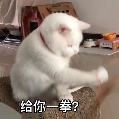 暂无描述