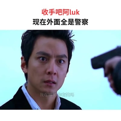 这张梗图取材自经典港片桥段，一名男子被持枪指着，突出紧张对峙气氛。顶部文字“收手吧阿luk”利用了粤语谐音，将电影中典型角色名字Luk作为标签，传递出“劝人及时止损”的意味。下方的“现在外面全是警察”则强化了环境危险、无路可退的情境，经常被用于调侃网络中“劝降”“别搞了”的场景。

本图使用了双关和谐音梗，通过“阿luk”联系香港黑帮片语境，也有网络用法，用来劝别人别再执迷不悟。