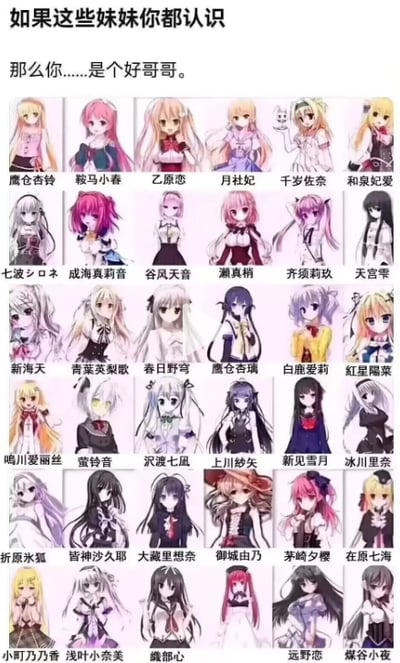 这是一张由36张二次元美少女角色图拼接而成的集合图，图的上方配有文字“如果这些妹妹你都认识 那么你……是个好哥哥。”，每个角色下方都标注了对应的日文或中文名字，这些角色大多出自不同的美少女恋爱游戏（Galgame）。文案是对二次元爱好者的趣味调侃，暗示能够认全这些角色的人是深度涉猎Galgame的爱好者，是熟悉这类作品的“好哥哥”，图中没有双关、谐音梗或其他暗示内容。