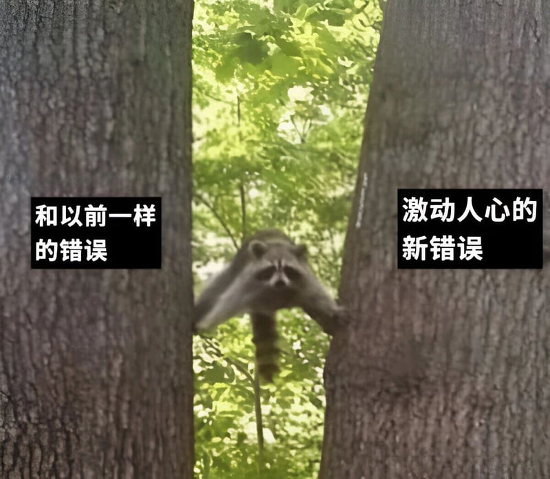 浣熊