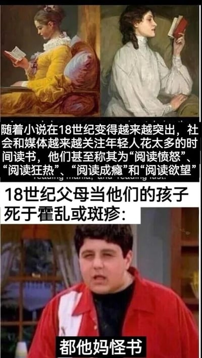 图片由上下两部分组成：上半部分是两幅18世纪欧洲油画，左侧穿黄色长裙的女性和右侧穿白色长裙的女性均手持书籍专注阅读；中间配有文字说明18世纪小说兴起后，社会将年轻人过度阅读称为“阅读愤怒”“阅读狂热”等现象。下半部分是现代影视截图，一名穿红色上衣的男子表情愤怒，下方文字为“18世纪父母当他们的孩子死于霍乱或斑疹：都他妈怪书”。通过历史绘画与现代表情包的结合，以幽默方式讽刺18世纪社会对阅读的过度担忧，以及将疾病死亡归咎于读书的荒谬逻辑。