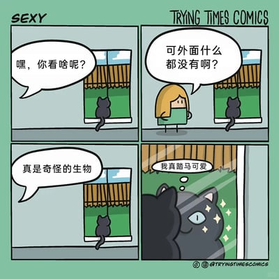 这是一则四格搞笑卡通漫画：第一格中，金发主人发现黑猫正盯着窗户，开口询问它在看什么；第二格主人走到窗边查看，发现窗外空无一物，发出疑惑；第三格主人吐槽黑猫是奇怪的生物后离开；第四格揭晓真相，黑猫其实是对着窗户玻璃欣赏自己的倒影，内心自恋地想着“我真踏马可爱”，玻璃上的黑猫还有星星特效，凸显出自恋得意的状态，用反差感制造出搞笑效果。