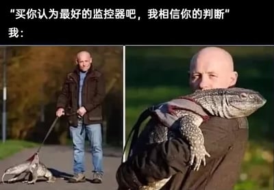 这是一张充满脑洞的搞笑梗图，上方配有两行文字，第一行是他人给出的指令：“买你认为最好的监控器吧，我相信你的判断”，第二行“我：”引出下方的两张实拍图片。左侧图片展示了一位光头男子穿着深色外套、蓝色牛仔裤，在户外的步道上用牵引绳牵着一只体型硕大的巨蜥散步，男子面带微笑，看起来十分轻松；右侧图片则是利用视觉错位效果，男子将巨蜥抱在怀中，巨蜥的身体刚好和男子的头部重合，形成了一个长着人类头部的怪异“人蜥合体”视觉效果。整个梗图的笑点在于对“监控器”的离谱解读：没有选择常规的电子监控设备，而是脑洞大开地选择了可以“监视”的活体巨蜥，同时结合视觉错位的荒诞画面，放大了这种执行指令时的清奇思路，用夸张、搞笑的方式调侃了那些对指令过度解读或者执行方式偏离常规的行为。