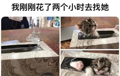 这是一张由三张照片拼接而成的搞笑宠物梗图。上方配有文字"我刚刚花了两个小时去找她"，下方三格图片分别展示：1. 纸巾盒局部特写，只能看到一点猫的痕迹；2. 小猫从纸巾盒中探出头向上看；3. 小猫从纸巾盒中露出脸和爪子，表情无辜。通过文字与图片的反差制造幽默效果，展现了宠物常有的躲藏行为和主人寻找时的无奈与最终发现时的哭笑不得。