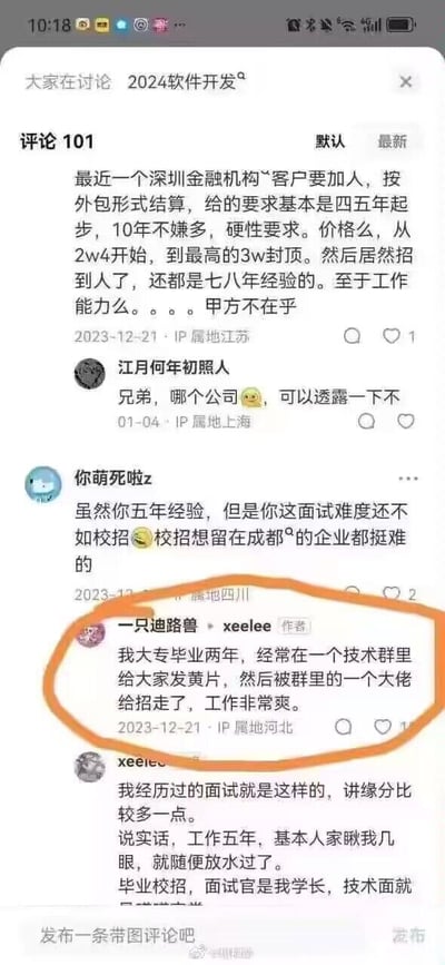 这是一张聚焦2024软件开发求职话题的社交媒体评论区截图，展示了多位网友分享的求职相关经历：有网友提到深圳金融机构外包岗位以2w4-3w的薪资招聘四五年起步的资深开发者，且招到了七八年经验的从业者；有网友吐槽五年工作经验的面试难度不如成都校招；最具反差感的是作者「一只迪路兽·xeelee」的分享，他自称大专毕业两年，因在技术群发黄图被群内大佬招入，工作十分顺心；此外还有网友提到面试靠缘分、校招遇学长放水通过等经历，整体内容充满离谱的反差感，展现了程序员求职中的非常规情况，引发搞笑效果。
