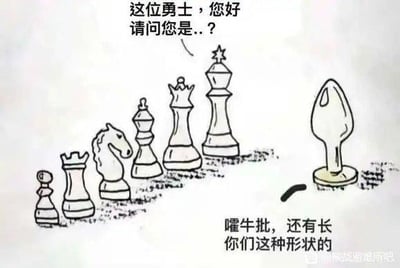 这是一张手绘风格的搞笑梗图，画面左侧是一排标准的国际象棋棋子（包括兵、马、象、后、王），它们集体面向右侧一个形状不规则、类似水滴状的棋子。左侧棋子配文“这位勇士，您好 请问您是..？”，右侧不规则棋子则回应“嚯牛逼，还有长你们这种形状的”，通过拟人化的对话制造出幽默效果，展现了对传统国际象棋棋子造型的调侃。