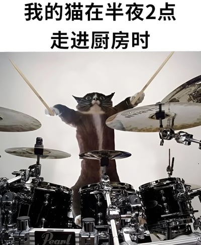 图片上方配有文字'我的猫在半夜2点走进厨房时'，下方是一只站立的猫，前爪各持一根鼓槌，正在敲击一套架子鼓，猫咪表情惊讶，眼神瞪大，胡须张开。整体通过将猫咪与打鼓场景结合，幽默地表现了宠物在深夜活动时制造噪音的搞笑情景，形成了安静夜晚与喧闹打鼓的有趣反差。