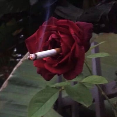图片中央是一朵盛放的深红色玫瑰，其花心位置被插入了一支点燃的香烟，香烟顶端有明显的燃烧痕迹并正冒着一缕青烟。背景为深色，隐约可见绿色的玫瑰叶片，整体画面通过玫瑰的柔美与香烟的硬朗形成鲜明视觉反差，营造出一种独特的叛逆美学氛围。