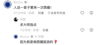 这是一张社交媒体评论区的截图，用户BizzzLe首先发布评论“人这一辈子要来一次西藏！”，定位显示为西藏；另一位用户“狩猎”在该评论下回复“求大师指点”，误以为对方的言论是带有人生感悟性质的建议；随后BizzzLe回复“狩猎”，直白表示“因为我是做西藏旅游的”并附带玫瑰表情，揭晓自己劝人去西藏的真实原因是本职工作相关，前后内容形成强烈反差，制造出幽默效果。