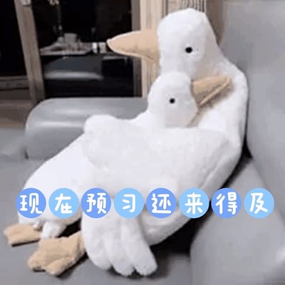这张梗图画面中，两只白色鹈鹕或大鹅玩偶紧紧抱在一起，姿势温馨治愈，象征关爱与支持。下方配有大号气泡字体：“现在预习还来得及”，给人以安慰和鼓励，常用来劝慰正在焦虑学习进度的人。整体画风俏皮、温柔，很适合作为考试临近时发给朋友娱乐打气，有治愈和缓解压力的意味。

没有谐音梗，表达直白。
