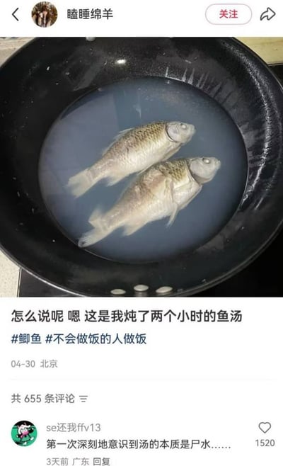 这张图是社交媒体内容截图，顶部显示发布用户为“瞌睡绵羊”，配图是一口黑色的锅，锅里盛有泛着灰蓝色的浑浊汤汁，汤里泡着两条外形完整、没有炖散的鲫鱼，完全不符合通常炖两小时后鲫鱼汤奶白浓稠、鱼肉酥烂的状态。发布配文为“怎么说呢 嗯 这是我炖了两个小时的鲫鱼汤”，附带话题标签#鲫鱼、#不会做饭的人做饭，显示发布于04月30日，定位北京。下方高赞评论由用户“se还我ffv13”发布，内容为“第一次深刻地意识到汤的本质是尸水……”，该评论获1520个点赞。
