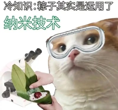 这是一张经过P图改编的搞笑静态图文，画面主体是一只戴着实验护目镜的胖橘白猫咪，被拟人化处理成科研人员的形象，背景中还配有一台显微镜，前景则是一双手拿着一个打开的红枣粽子，能清晰看到粽叶里包裹的糯米和一颗红枣。图片上方配有文字“冷知识:粽子其实是运用了纳米技术”，这里运用了谐音梗——“纳米”谐音“纳米”，实际是指粽子用粽叶将米容纳包裹起来，把日常的端午传统食物和高端的纳米技术进行反差结合，制造出荒诞又搞笑的“伪冷知识”效果，整体风格诙谐幽默，适合在端午节相关的网络话题中用来互动娱乐。