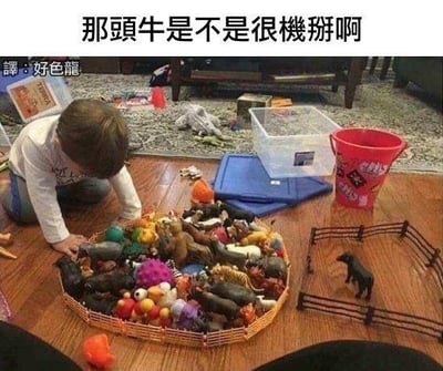 这是一张室内实拍的搞笑梗图，画面里一个小孩正蹲在地上，专注地摆弄着被圈在玩具围栏里的一众动物玩具，唯独一只黑色玩具牛被放在围栏外。图上方配有繁体中文文字“那頭牛是不是很機掰啊”，下方标注“譯：好色龍”，这里运用了谐音梗，“機掰”与低俗词汇“雞掰”谐音，将围栏外的牛调侃成该低俗词汇，以此制造搞笑效果。