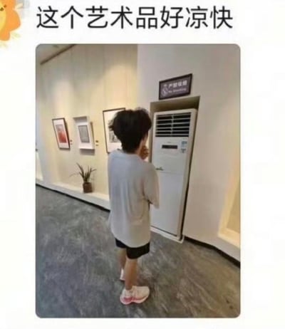 这是一张网络搞笑梗图，拍摄场景为美术展览馆内部，展馆墙面挂有多幅装裱好的艺术画作，展陈风格统一。一台立式空调被嵌入墙体预留的凹槽内，外观和周边的展陈作品形式高度相似，乍看之下仿佛是展出的艺术品。一名穿着浅灰色短袖上衣、黑色短裤、白粉色运动鞋的人背对镜头站在空调正前方吹冷风，图片上方配文“这个艺术品好凉快”，以调侃的语气制造反差笑点，戏谑地将空调误认为是凉爽的“特殊展品”，充满生活化的趣味。