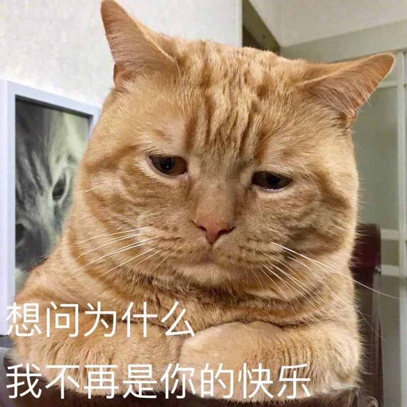 悲伤橘猫：想问为什么我不再是你的快乐