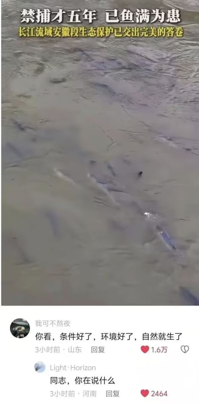 这张图上半部分是长江流域安徽段的水域实拍，水面下可见大量鱼类游动，顶部配文表明长江禁捕仅五年就已出现鱼满为患的情况，生态保护成效显著；下半部分是两条社交平台网友评论，第一条评论的“生了”属于双关语，表面指鱼类在优良环境下大量繁殖，实际暗含对人口生育相关话题的调侃，第二条评论则表现出对前一条评论双关含义的疑惑与调侃，共同形成网络梗点。