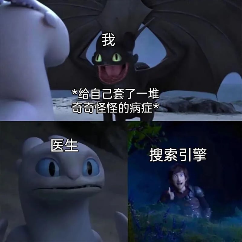 《驯龙高手》系列