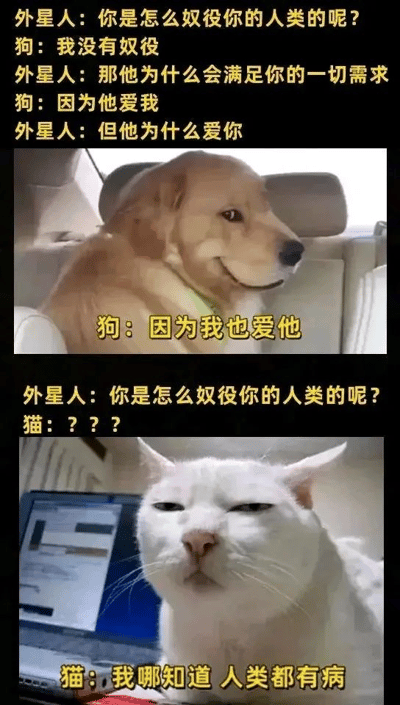 这是一张上下对比的双图梗图，通过外星人与宠物的对话幽默展现狗狗和猫咪对人类行为的不同理解。上图中一只金毛犬坐在汽车后座，微笑着与外星人对话，认为人类满足它的需求是因为相互关爱；下图中一只白猫坐在笔记本电脑旁，表情疑惑，对外星人的问题表示不解，并吐槽"人类都有病"。两张图形成鲜明对比，体现了狗的忠诚和猫的傲娇性格差异。