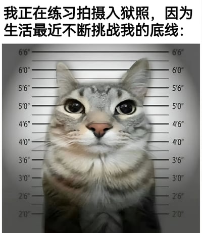 这是一张幽默梗图，上方配有文字“我正在练习拍摄入狱照，因为生活最近不断挑战我的底线：”，下方是一只表情严肃的猫的面部照片被合成到标准的入狱照背景上，背景上有从2'0"到6'6"的身高测量线。猫咪表情认真，与入狱照的正式感形成有趣对比，通过拟人化手法幽默表达了生活压力大的感受。