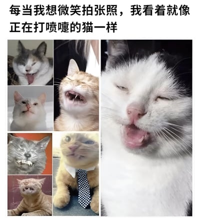 图片上方配有文字“每当我想微笑拍张照，我看着就像正在打喷嚔的猫一样”，下方是多图拼接的布局，左侧有6张不同猫咪的小图，右侧是1张大图，所有猫咪都呈现出类似打喷嚏时的夸张表情，如眯眼、张嘴、面部肌肉扭曲等，通过猫咪的搞笑表情幽默地比喻人们拍照时想微笑却表情失控的尴尬场景。