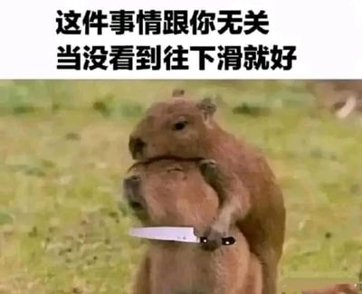 图片上方有两行黑色文字："这件事情跟你无关 当没看到往下滑就好"。下方是两只水豚的照片，其中一只水豚站立在另一只水豚身后，前爪手持一把刀抵在前面水豚的颈部，背景是绿色草地。图片通过可爱动物与危险行为的反差，配合劝人无视的文字，形成幽默效果。