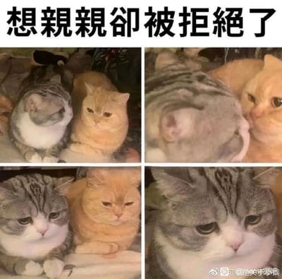 暂无描述