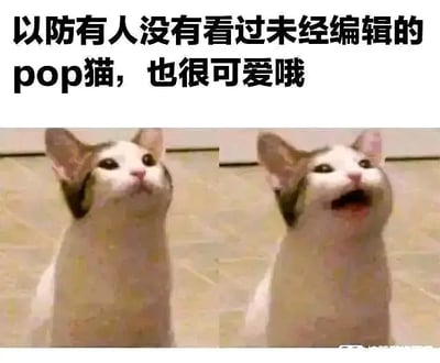 图片分为左右两部分，对应网络热门的“pop猫”表情包，原图展示了一只猫在张嘴前和张嘴后的对比。配以大字说明，强调即使没有经过编辑的pop猫，依旧十分可爱。画面整体轻松幽默，明显有网络自嘲、反向安利以及可爱动物元素。没有双关和谐音梗，但有“原图党”、“未经编辑也很棒”的网络自嘲氛围。