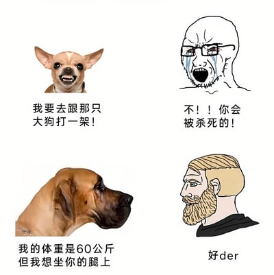 这是一张四格搞笑梗图，展示了一个有趣的对比场景。左上角是一只愤怒的小狗，配文'我要去跟那只大狗打一架！'；右上角是一个戴眼镜的光头男人正在大哭，配文'不！！你会被杀死的！'；左下角是一只体型庞大的狗，配文'我的体重是60公斤但我想坐你的腿上'；右下角是一个金发胡子男人，配文'好der'。整个梗图通过体型反差和幽默对话制造笑点。