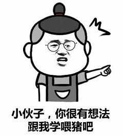 小伙子你很有想法跟我学喂猪吧