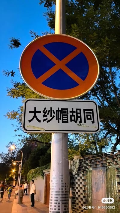 图片展示了一根路灯杆上的两个路牌：上方是圆形交通标志，蓝色背景上有橙色交叉图案（疑似禁止类标志），下方是白色矩形路牌，黑色文字写着“大纱帽胡同”。背景为晴朗的蓝天和茂密的绿树，街道旁有行人漫步，路灯已点亮，呈现出傍晚时分的胡同街景。