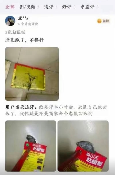 该图片为电商平台用户评价截图，展示了一则关于“猫山王粘鼠板”的搞笑差评及追评。用户“亚***x”4个月前给出差评，称“3张粘鼠板，老鼠跑了，不得行”，并附上一张黄色粘鼠板（疑似有少量污渍）的照片。随后用户当天追评：“给差评半小时后，老鼠自己跑回来了，我怀疑是不是商家命令老鼠回来的”，同时附上两张老鼠被粘在红色包装“猫山王粘鼠板”上的照片。整体内容因老鼠“戏剧性”回归和用户幽默的怀疑而充满喜剧效果。